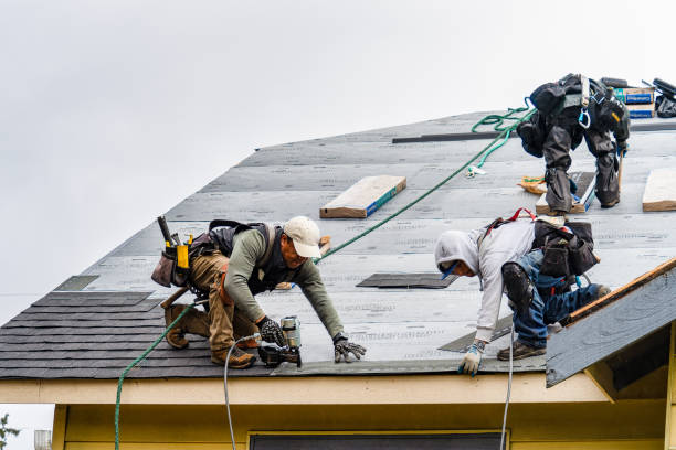 Professional Roofing technician working in Hillsdale, IL